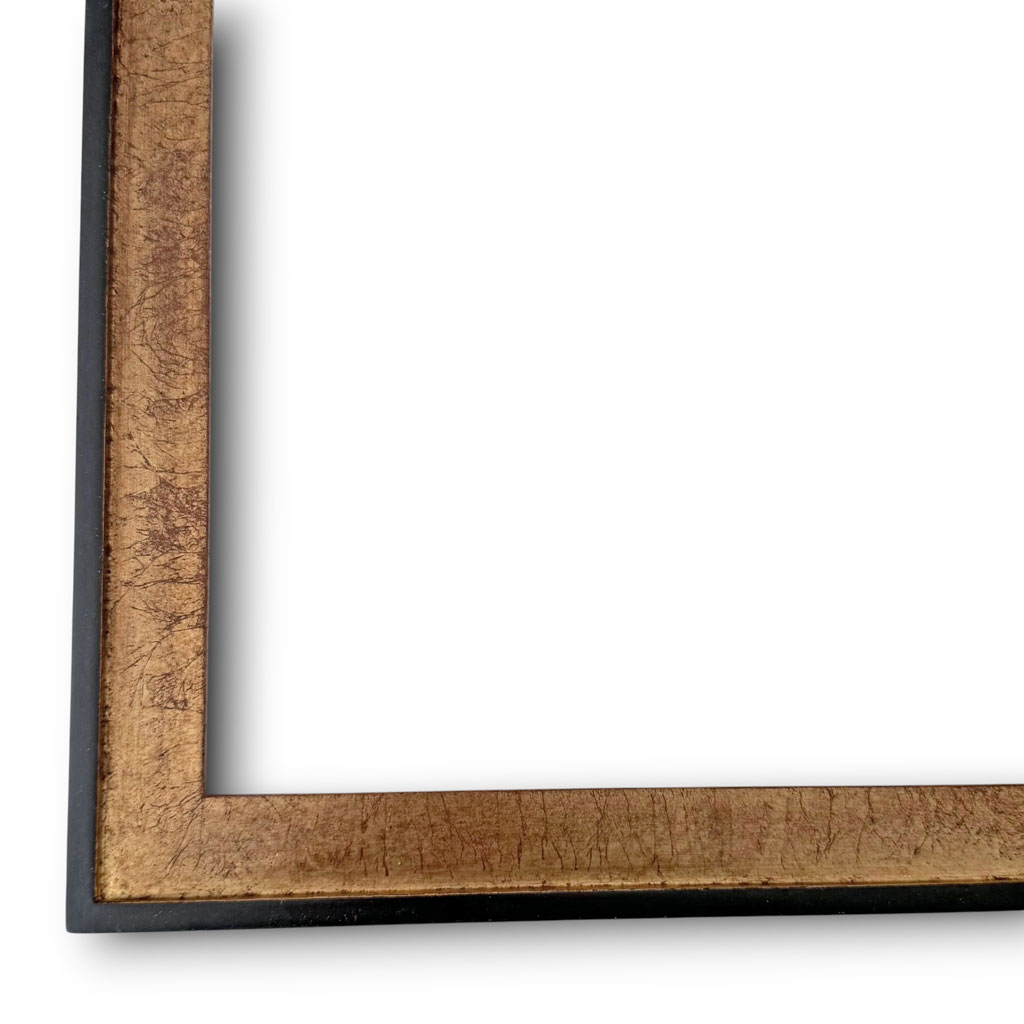 Dion Sisyphe filet et dos couleur