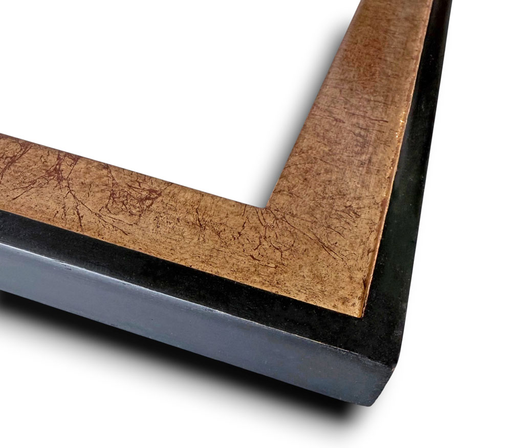 Dion Sisyphe filet et dos couleur